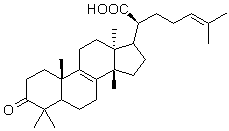 28282-25-9