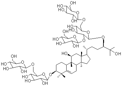 暂无