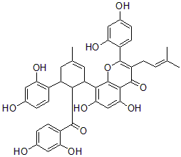 75629-19-5